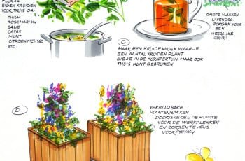 Kruiden & plantbakken